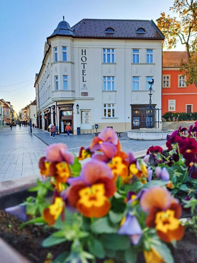 Hotel Domus Collis Дьор Екстериор снимка